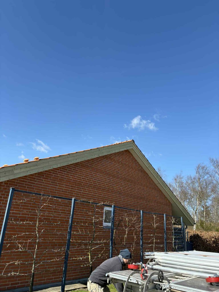 542380467_1943842516469224_1949343957573643493_n